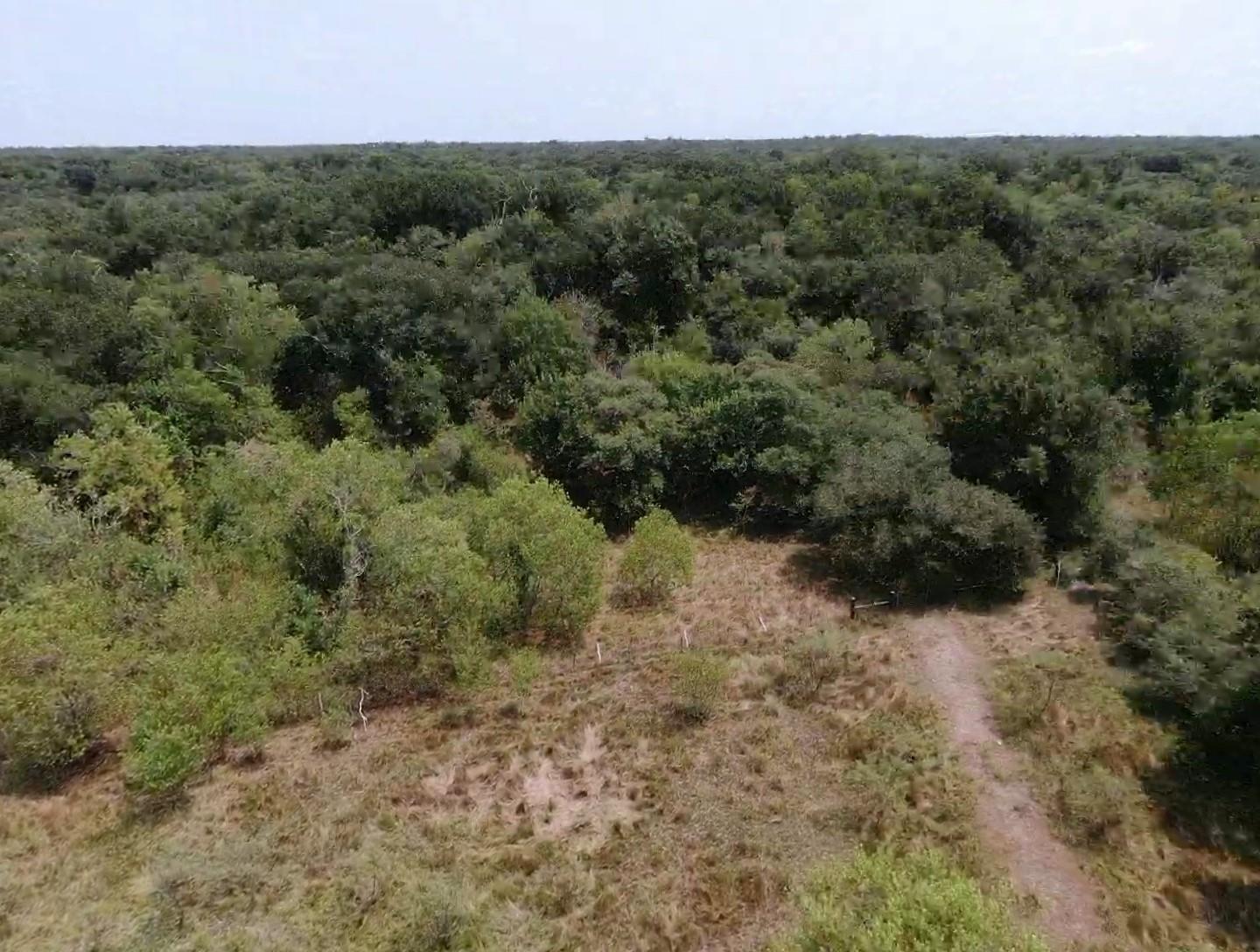 7800 B Brazos River Road