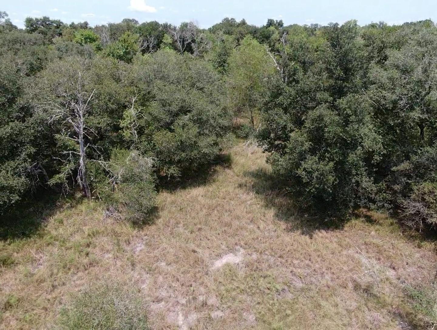 7800 B Brazos River Road