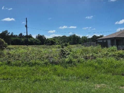 Vacant Land For Sale - LOT 10 BLK 417 Cemetery Road<br/> Hempstead, TX 77445