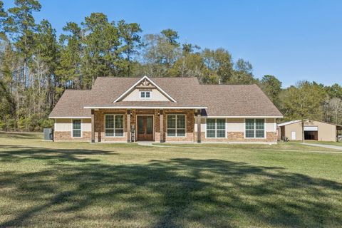 Photo of 118 Roosevelt Street, Shepherd, TX 77371 (MLS # 40411187)