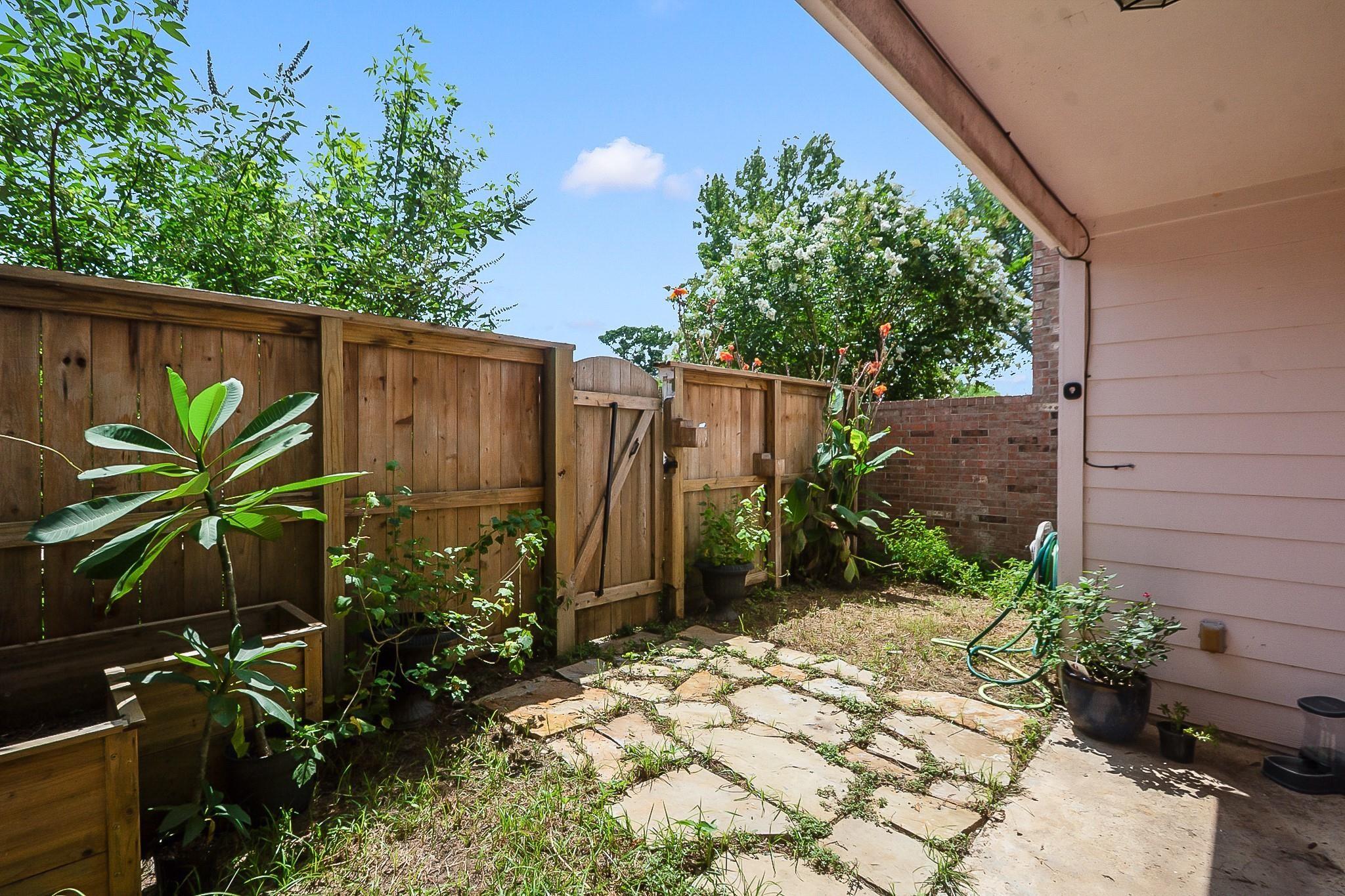62 Chervil Common