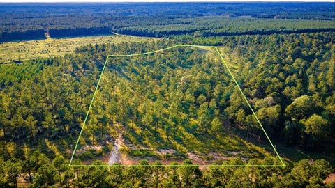 Photo of TBD Richardson Rd E, Livingston, TX 77351 (MLS # 46226106)