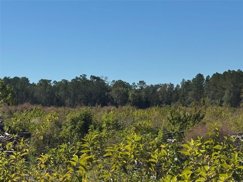 Photo of tbd County Road 4800, Warren, TX 77664 (MLS # 17477561)
