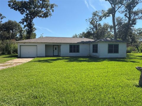Photo of 3922 County Road 704, Brazoria, TX 77422 (MLS # 29783285)