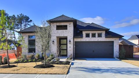 Photo of 29763 Brushy Gables Drive, Magnolia, TX 77354 (MLS # 78681201)