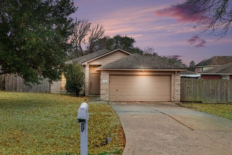 Photo of 322 Moonwalk Street, Montgomery, TX 77356 (MLS # 75445565)