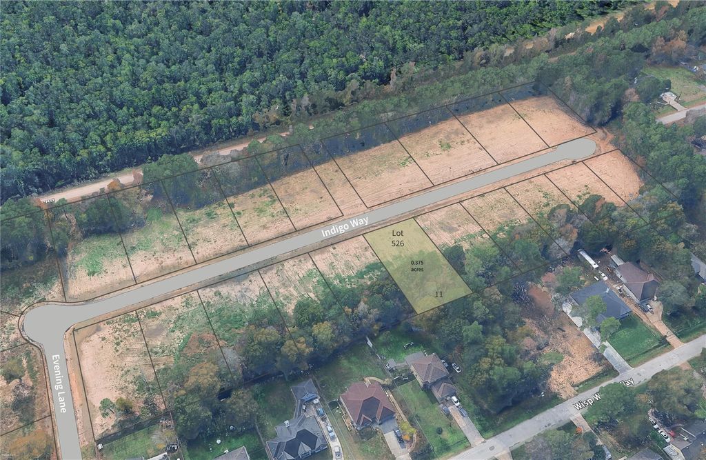 Photo of 526 Indigo Way, Porter, TX 77365 (MLS # 24733675)