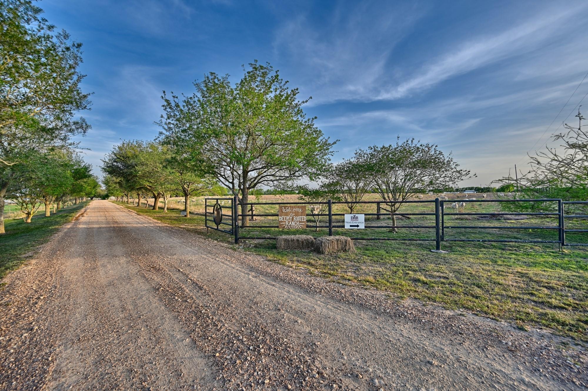 5255 Ganske Road
