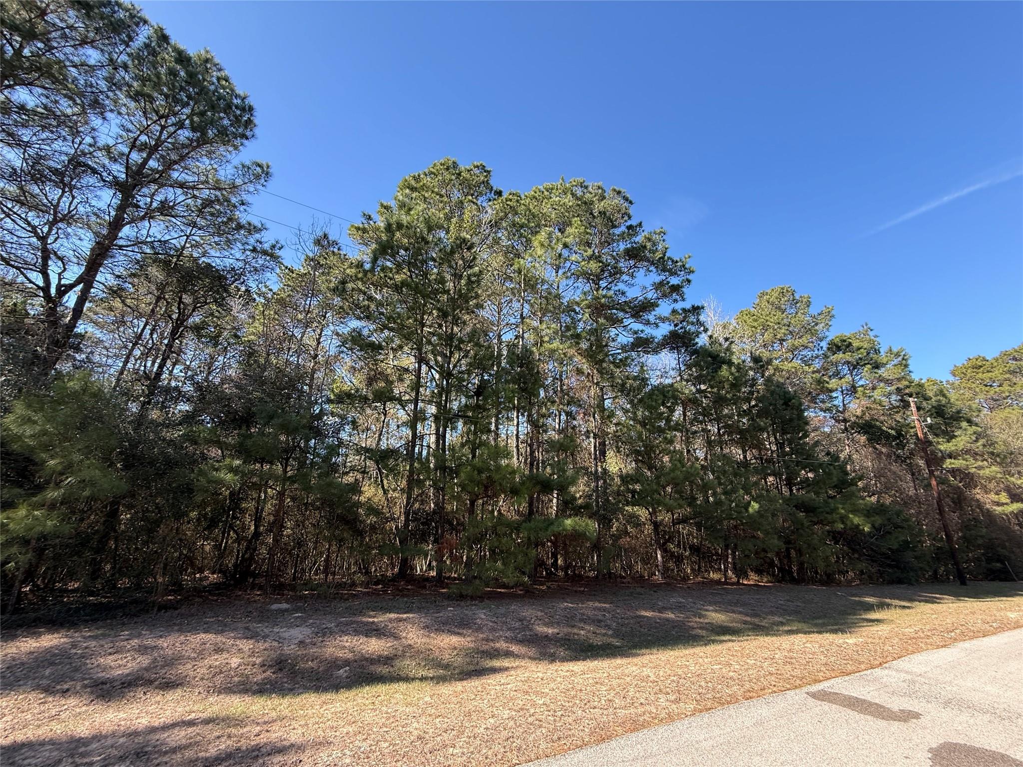 272303 Hitching Post Court