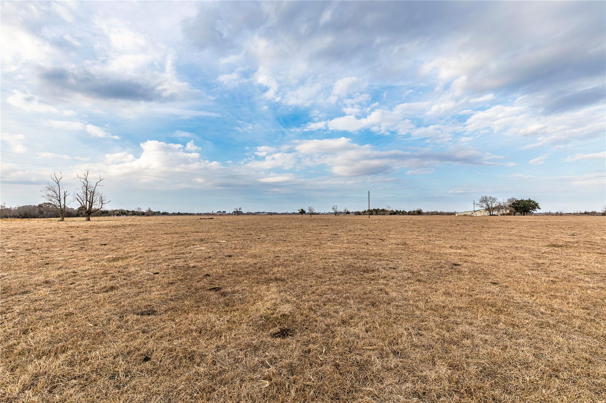 TBD Wiese Road