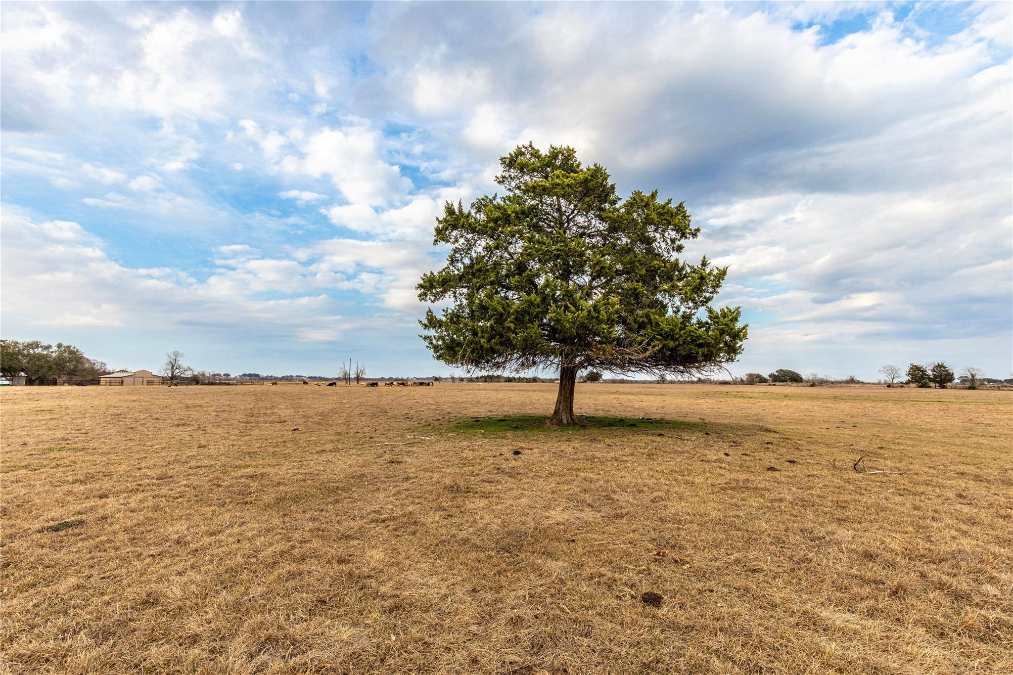 TBD Wiese Road