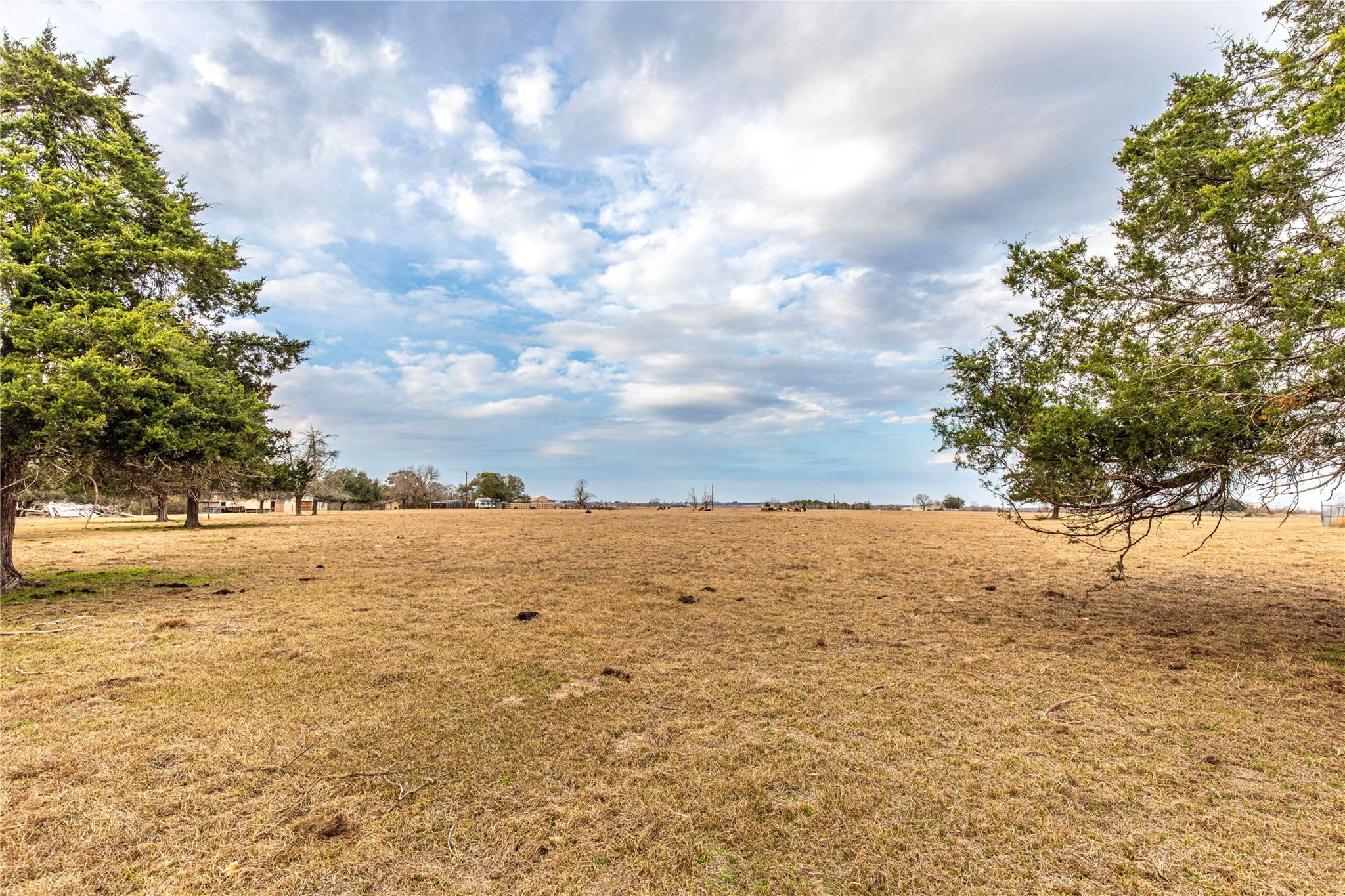TBD Wiese Road