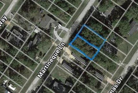 Vacant Land For Sale - 147 Martineque Lane<br/> Point Blank, TX 77364