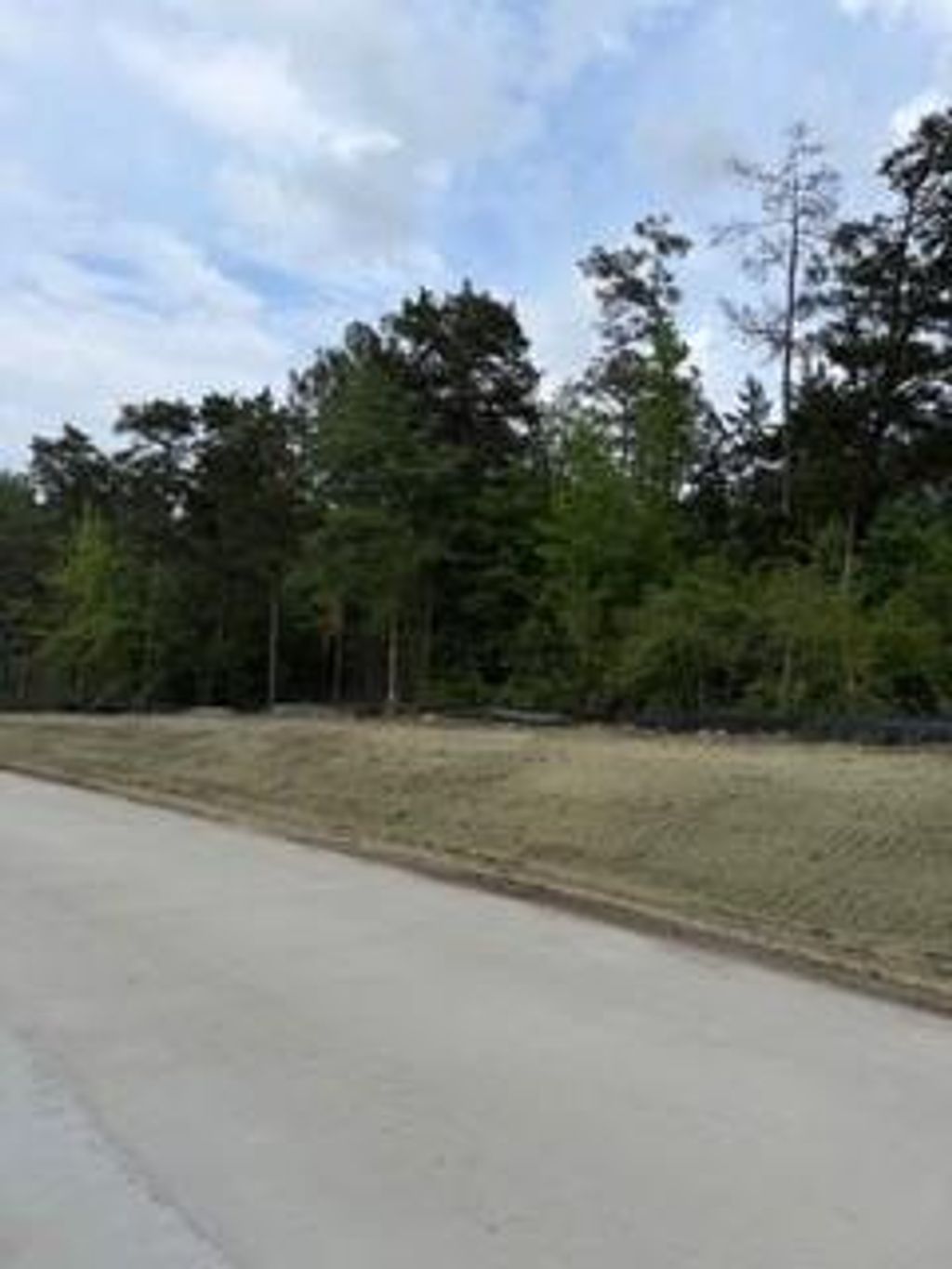 Photo of 139785 Winters Vista Drive, Willis, TX 77378 (MLS # 94661012)