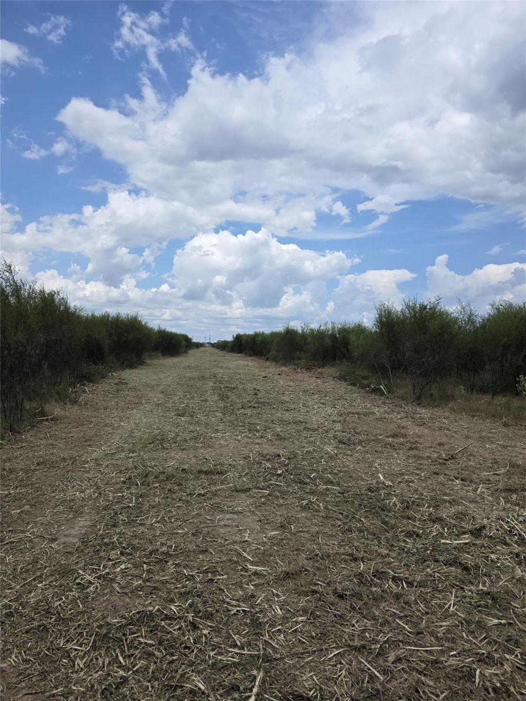 Photo of 36847 Richard Frey 1-19 Road #19, Hempstead, TX 77445 (MLS # 49931127)