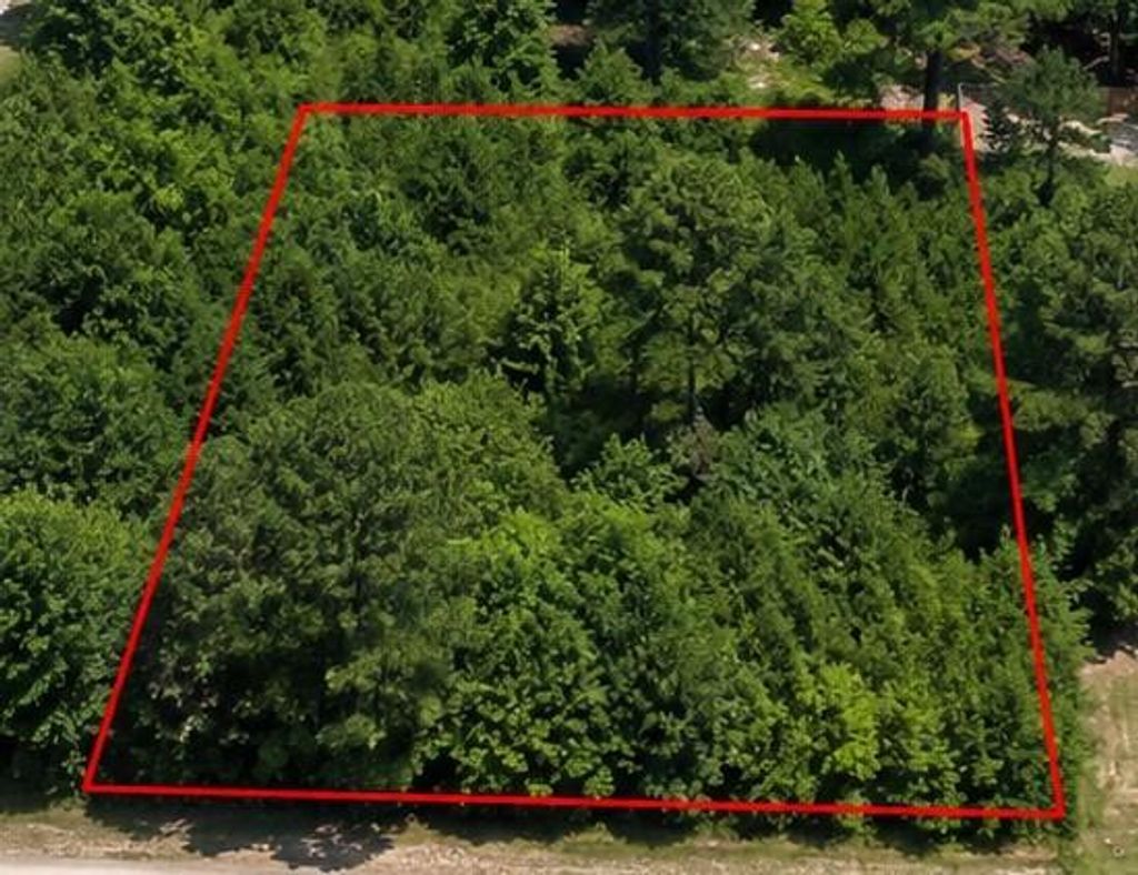 Photo of 0 Spanish Oaks Drive, New Caney, TX 77357 (MLS # 50878952)