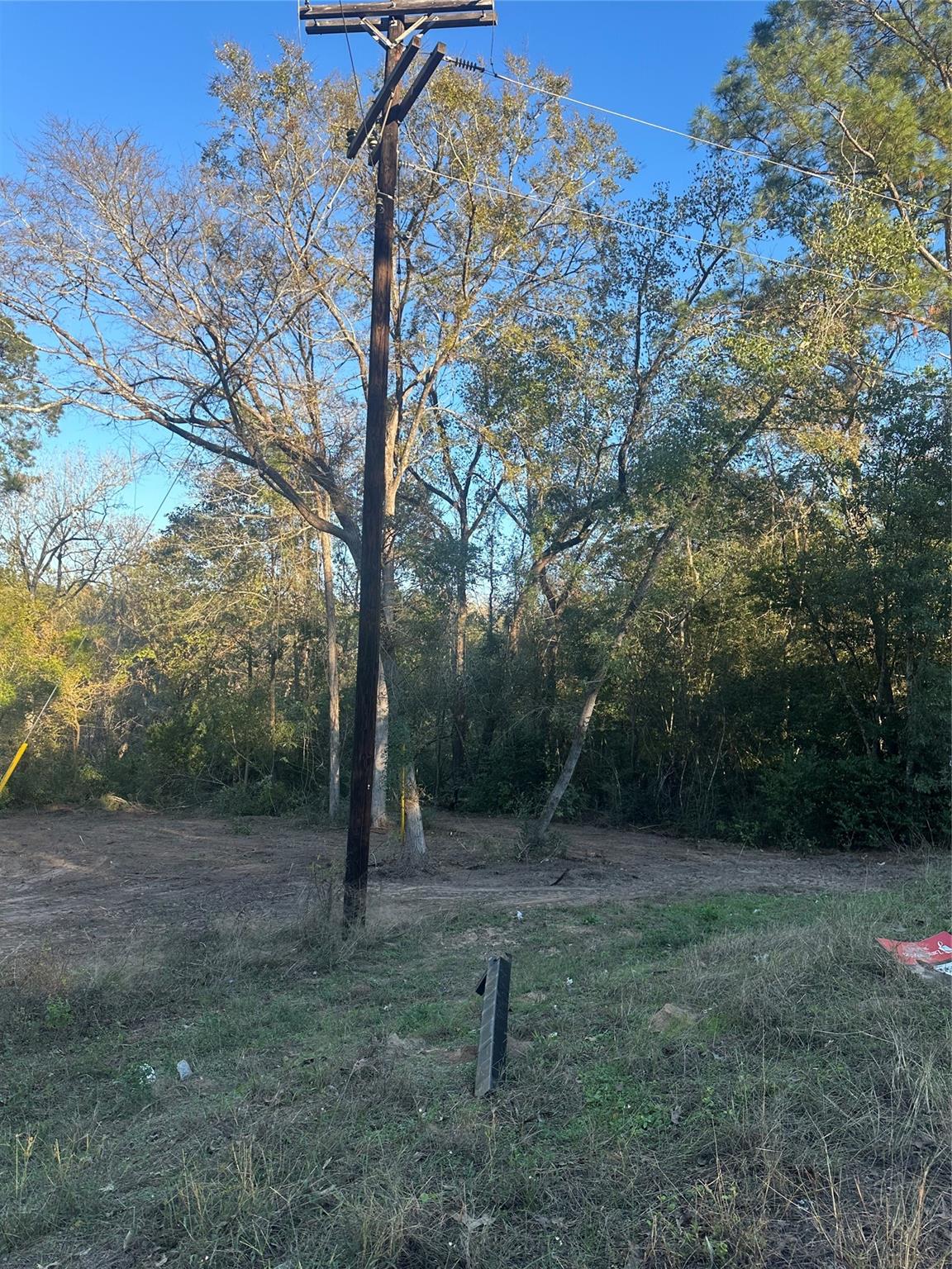 12604 Rolling Wood Loop