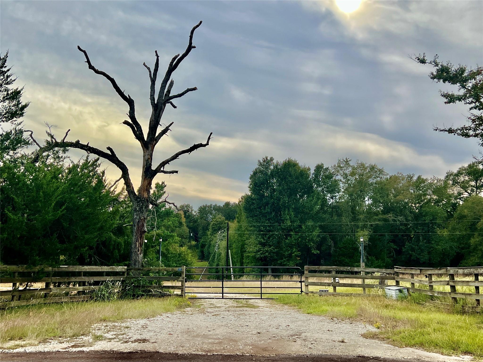 4952 County Road 428
