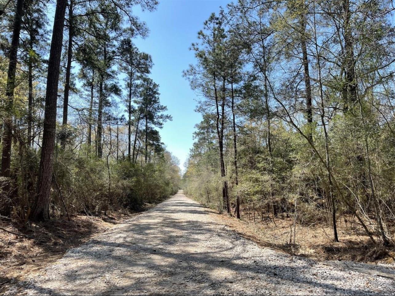 17040 E William Road
