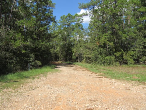 Photo of 2223 Crysel Road, Cleveland, TX 77328 (MLS # 96877658)