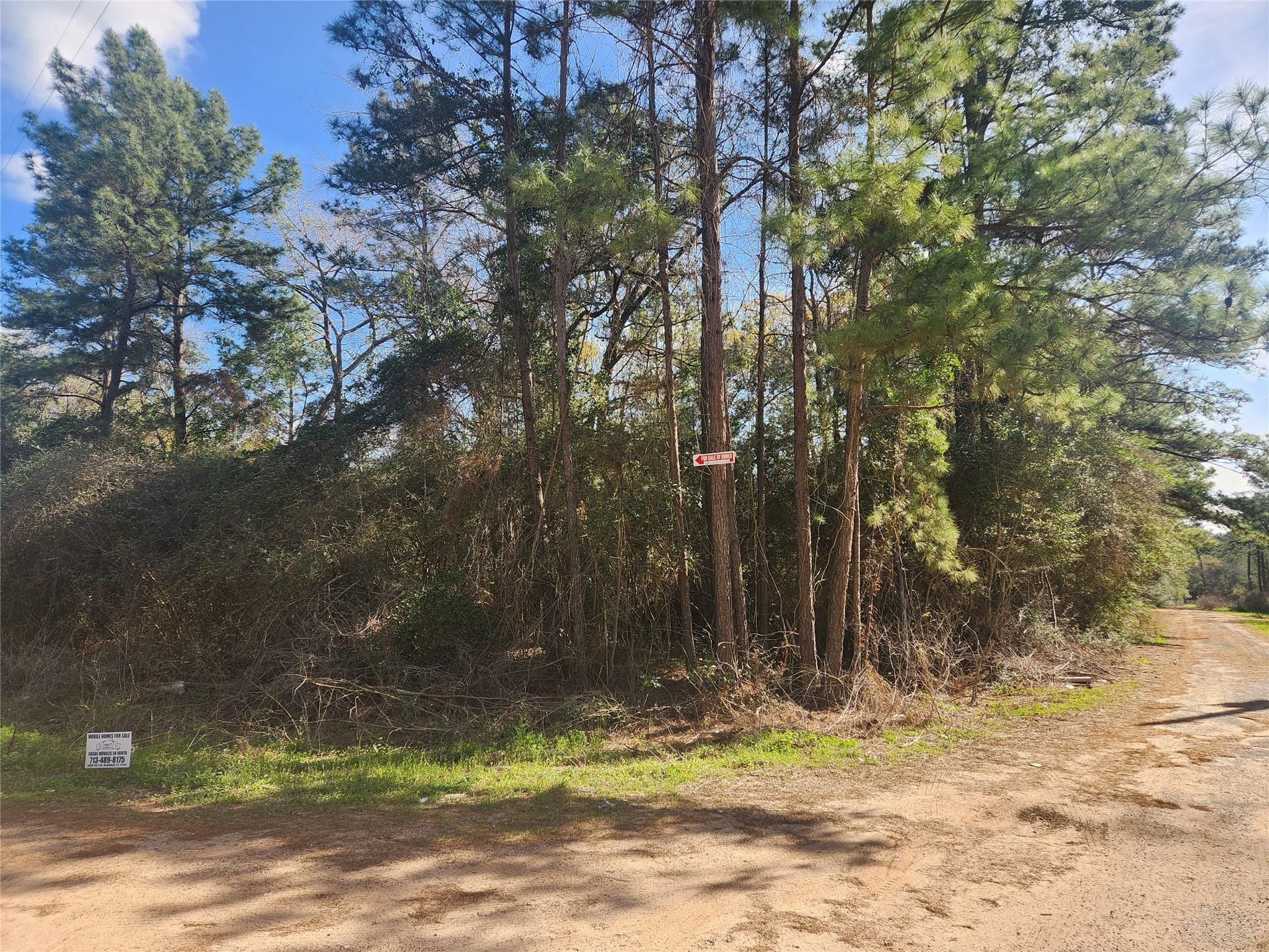 Lot 3 Live Oak Drive