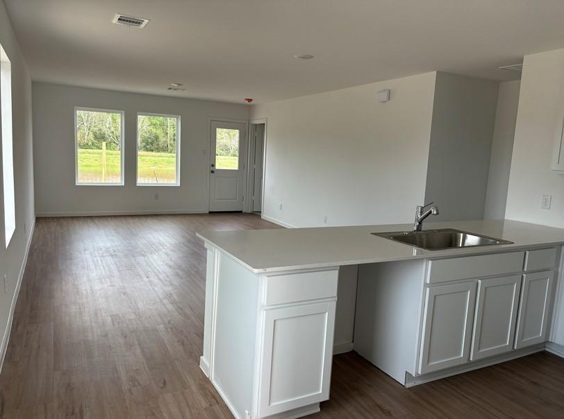 1515 Golden Iris Drive