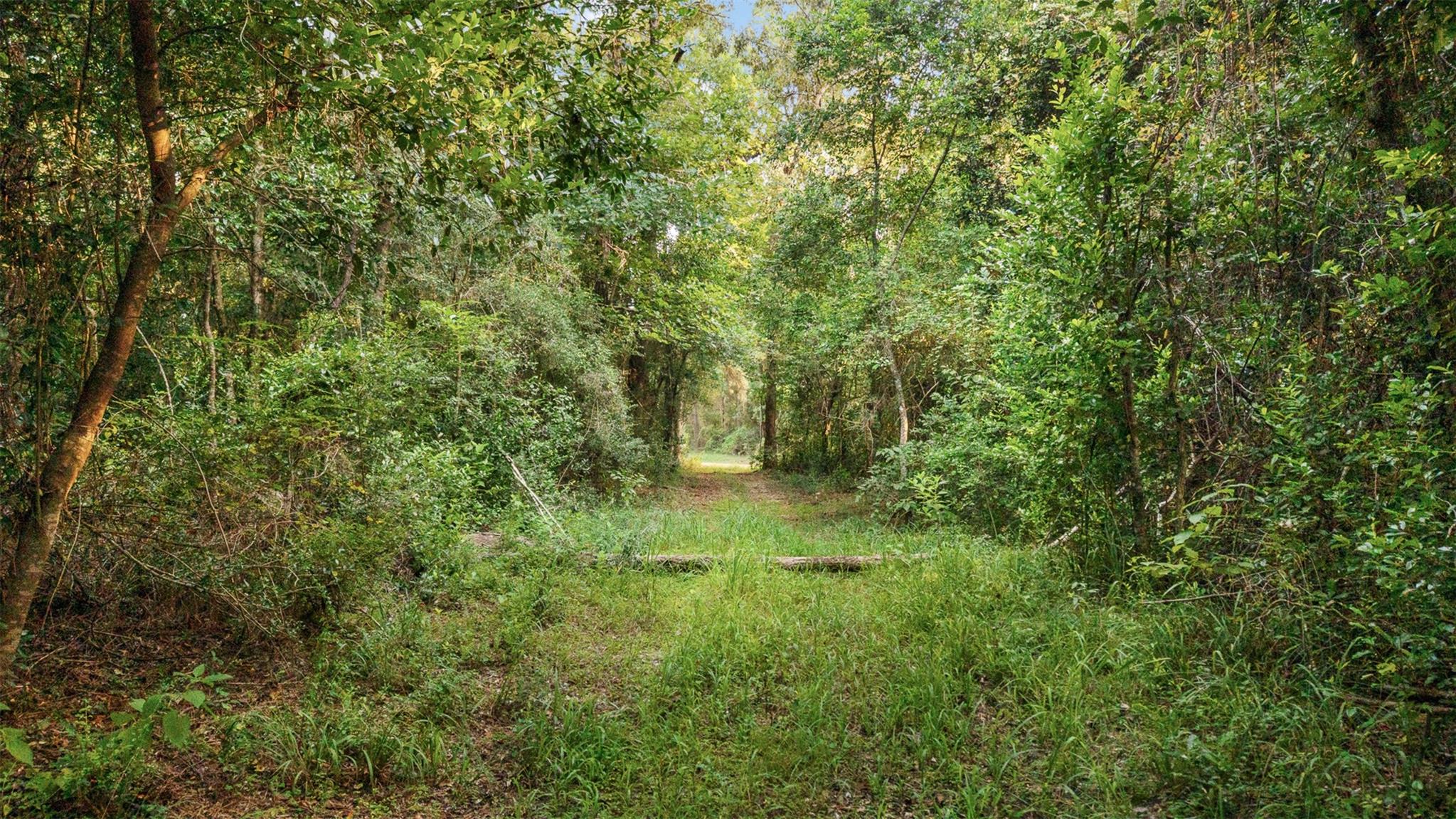 4849 Menard Chapel Road