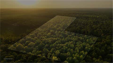Vacant Land For Sale - 4849 Menard Chapel Road<br/> Livingston, TX 77351