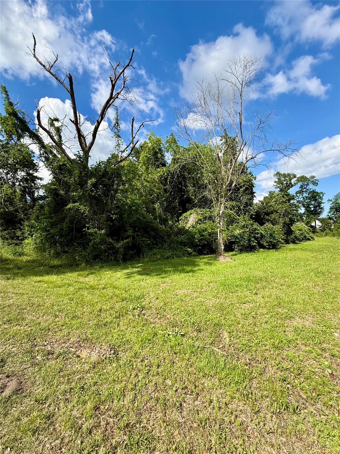 13650 Salt Grass Trail Lot 105