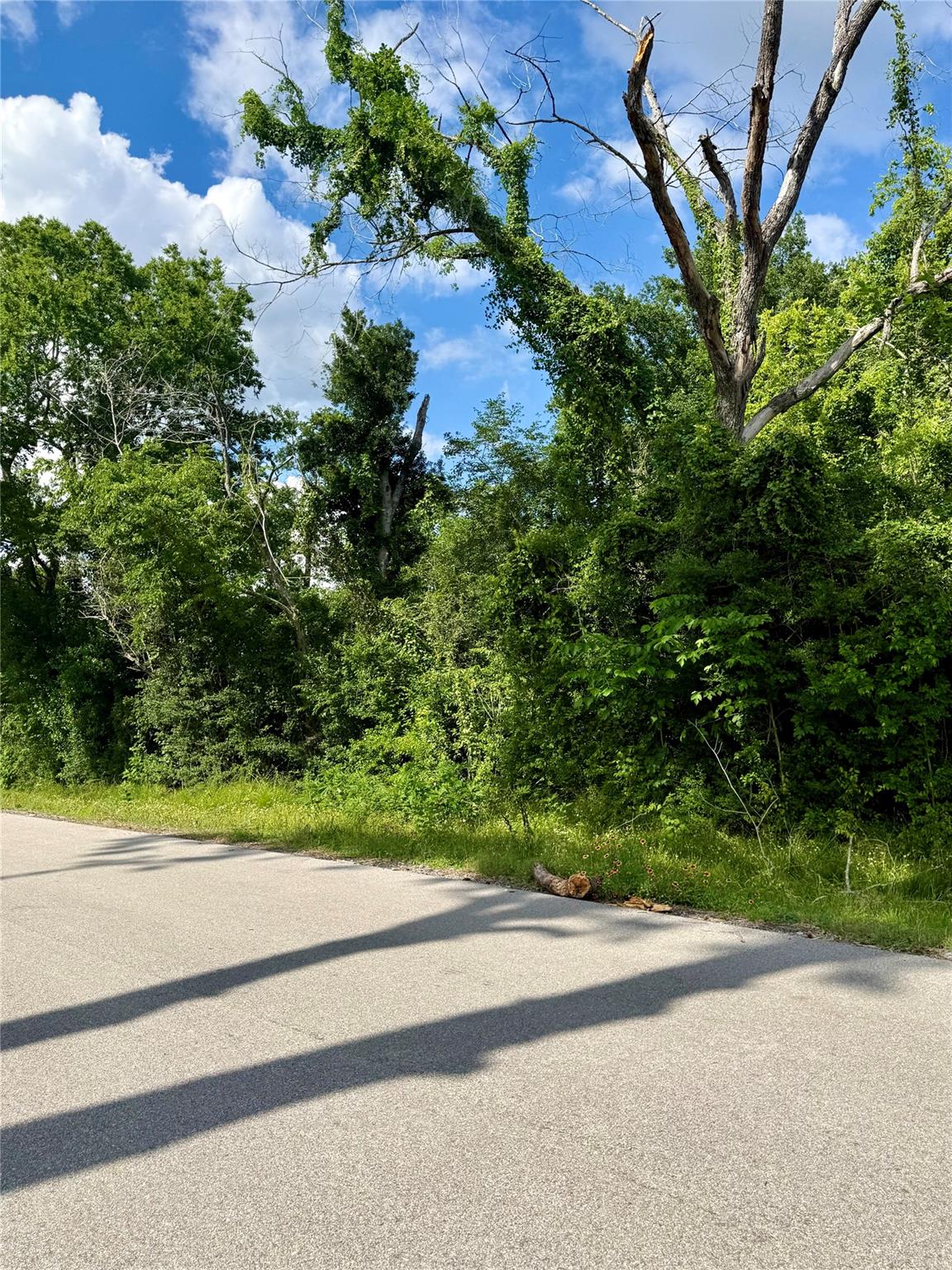 13650 Salt Grass Trail Lot 105