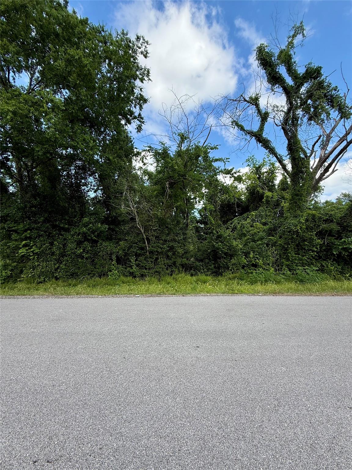 13650 Salt Grass Trail Lot 105