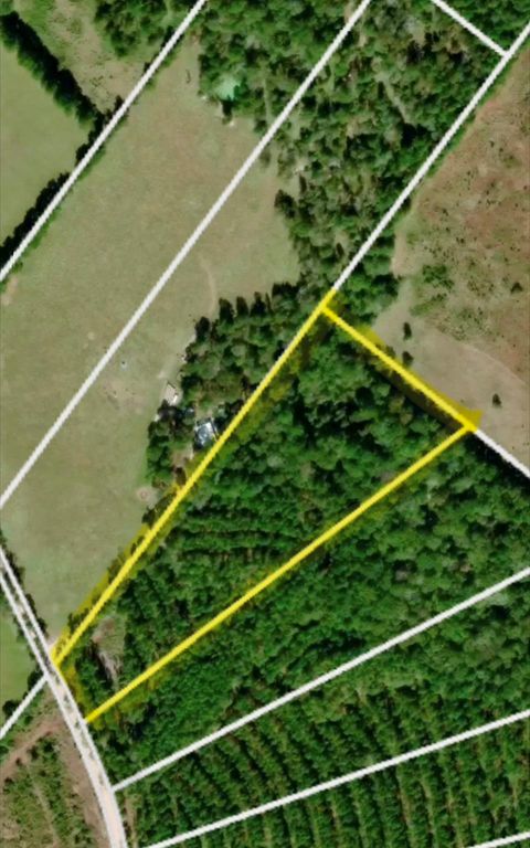 Vacant Land For Sale - TBD Kickapoo Road<br/> Trinity County, Groveton, TX 75845