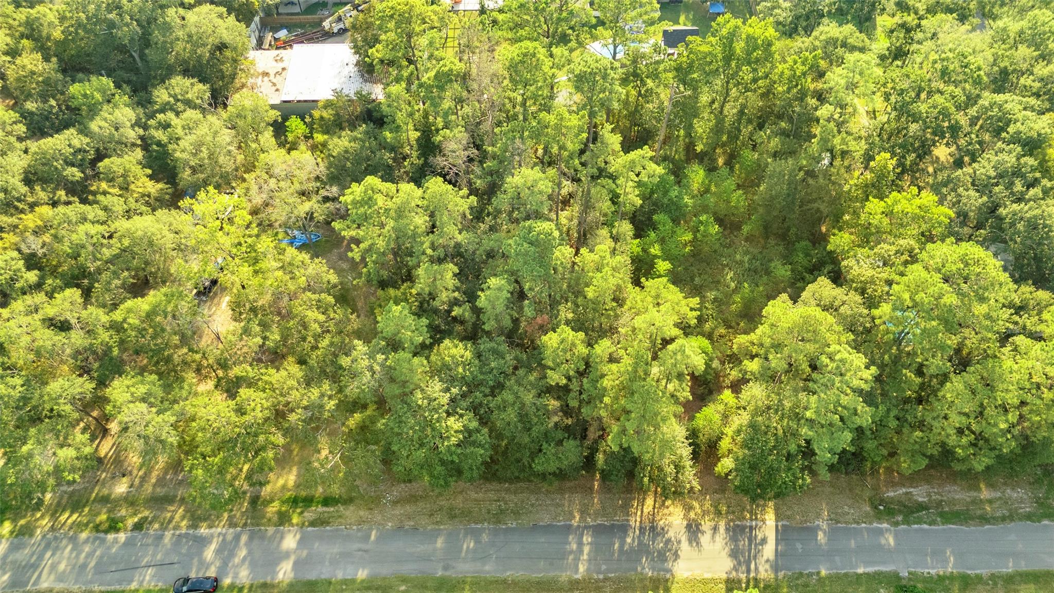 TBA Carisbrook Lane