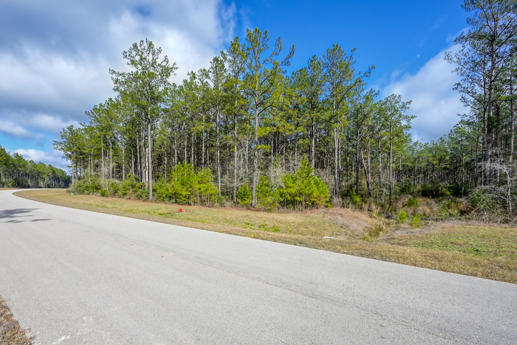 15688 Wooded Trail Way