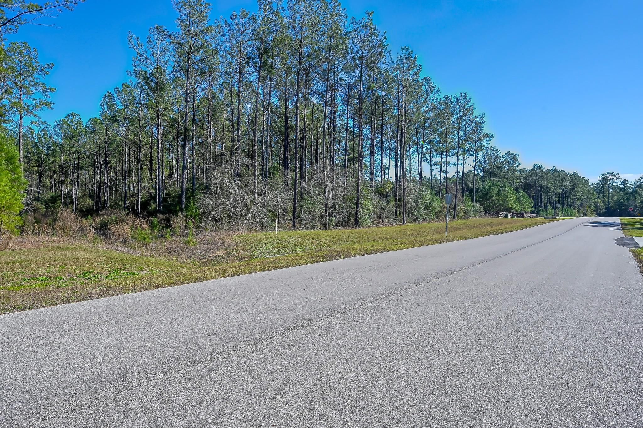 15688 Wooded Trail Way