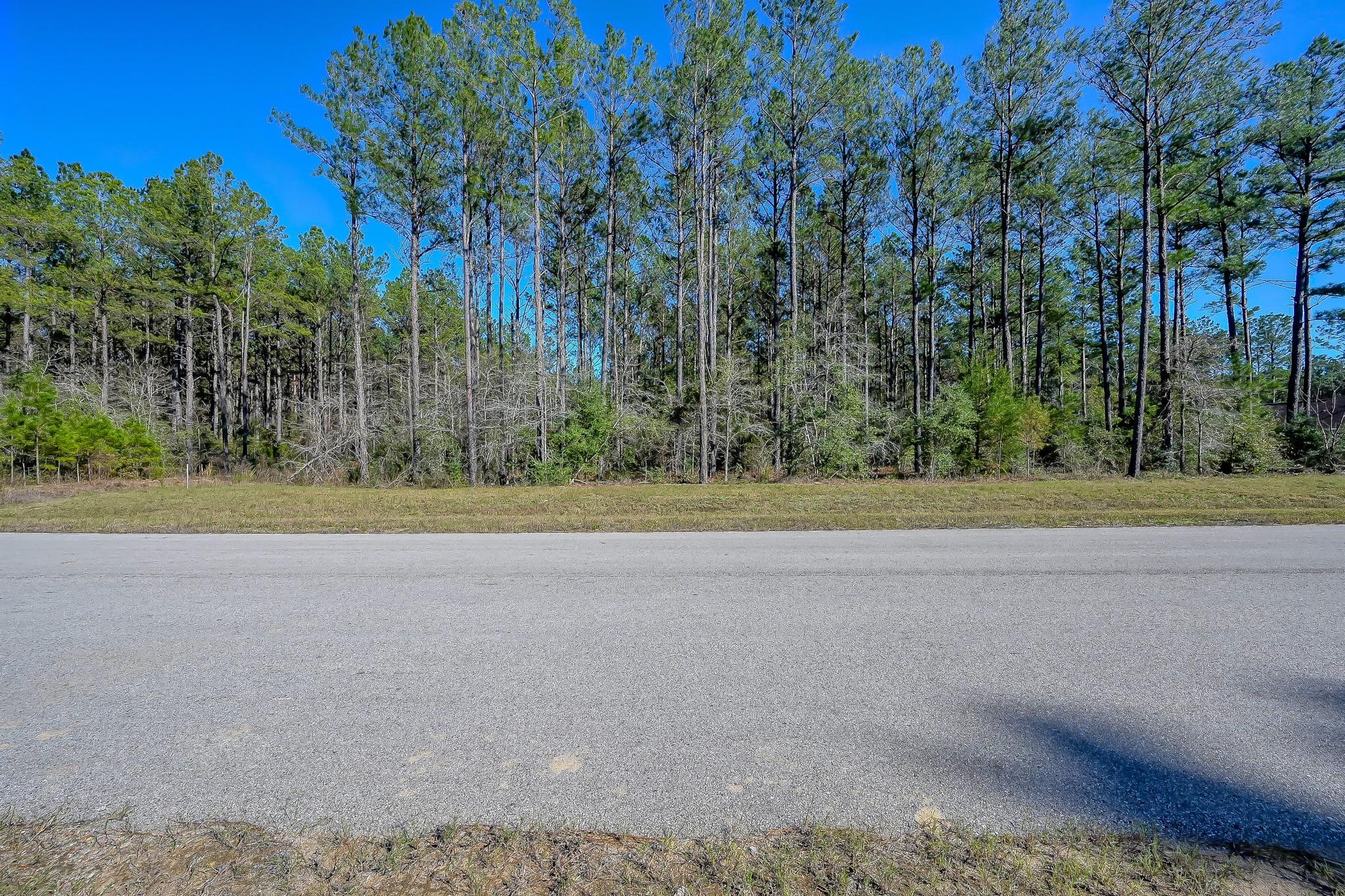 15688 Wooded Trail Way