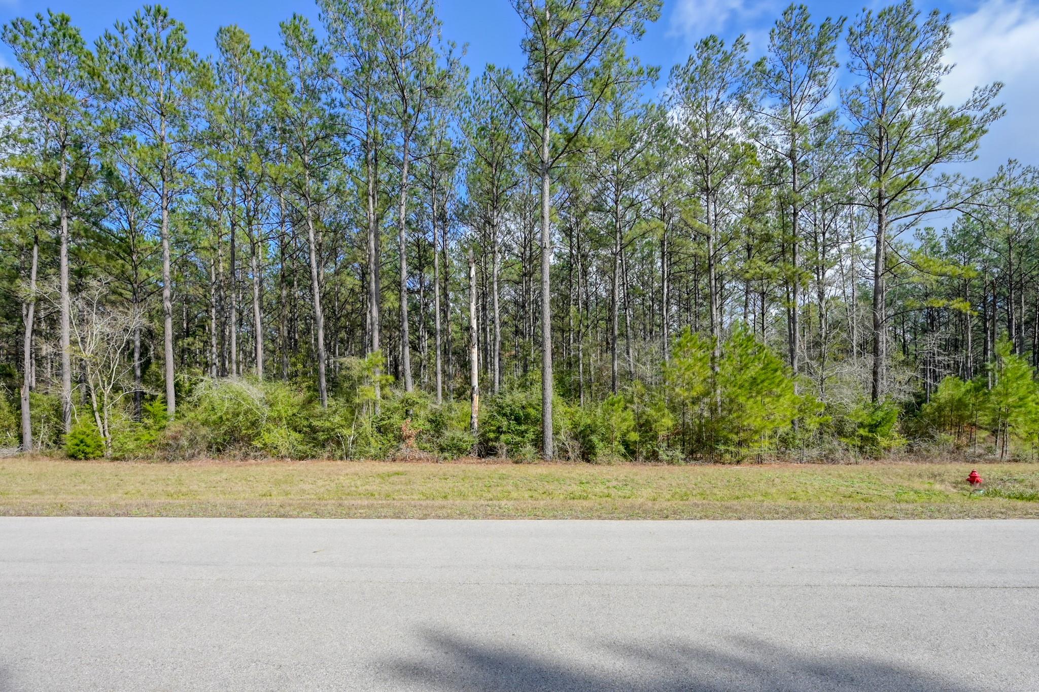 15688 Wooded Trail Way