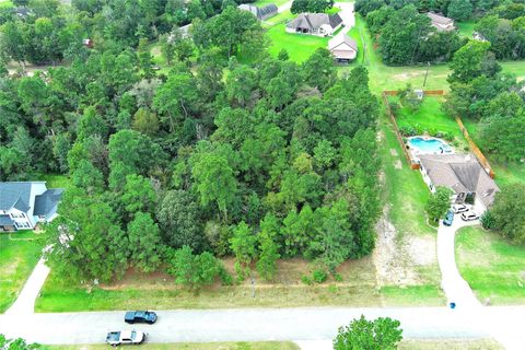 172 Port Au Prince Court Montgomery TX 77316