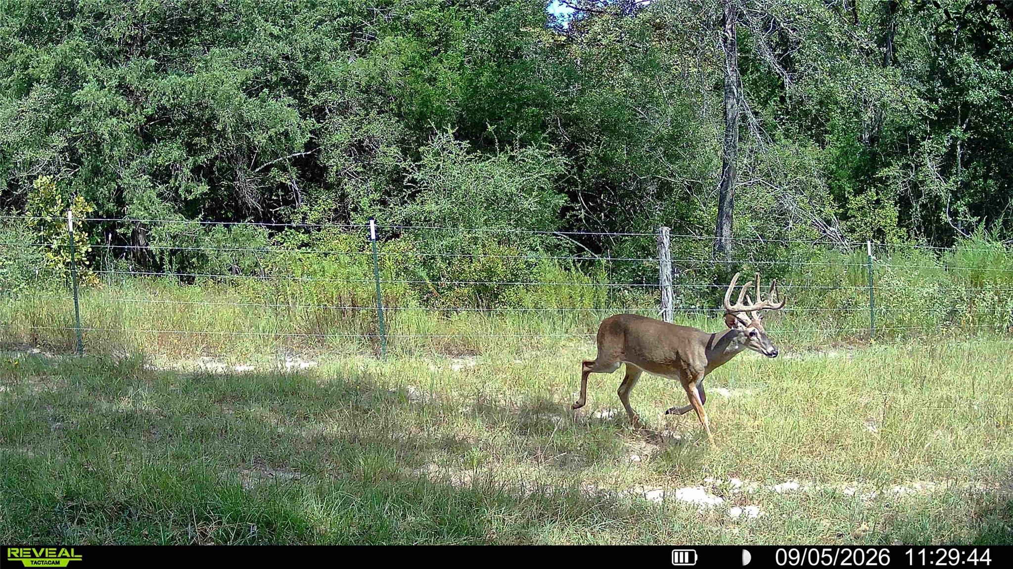 60.73 AC TBD Jackrabbit Lane