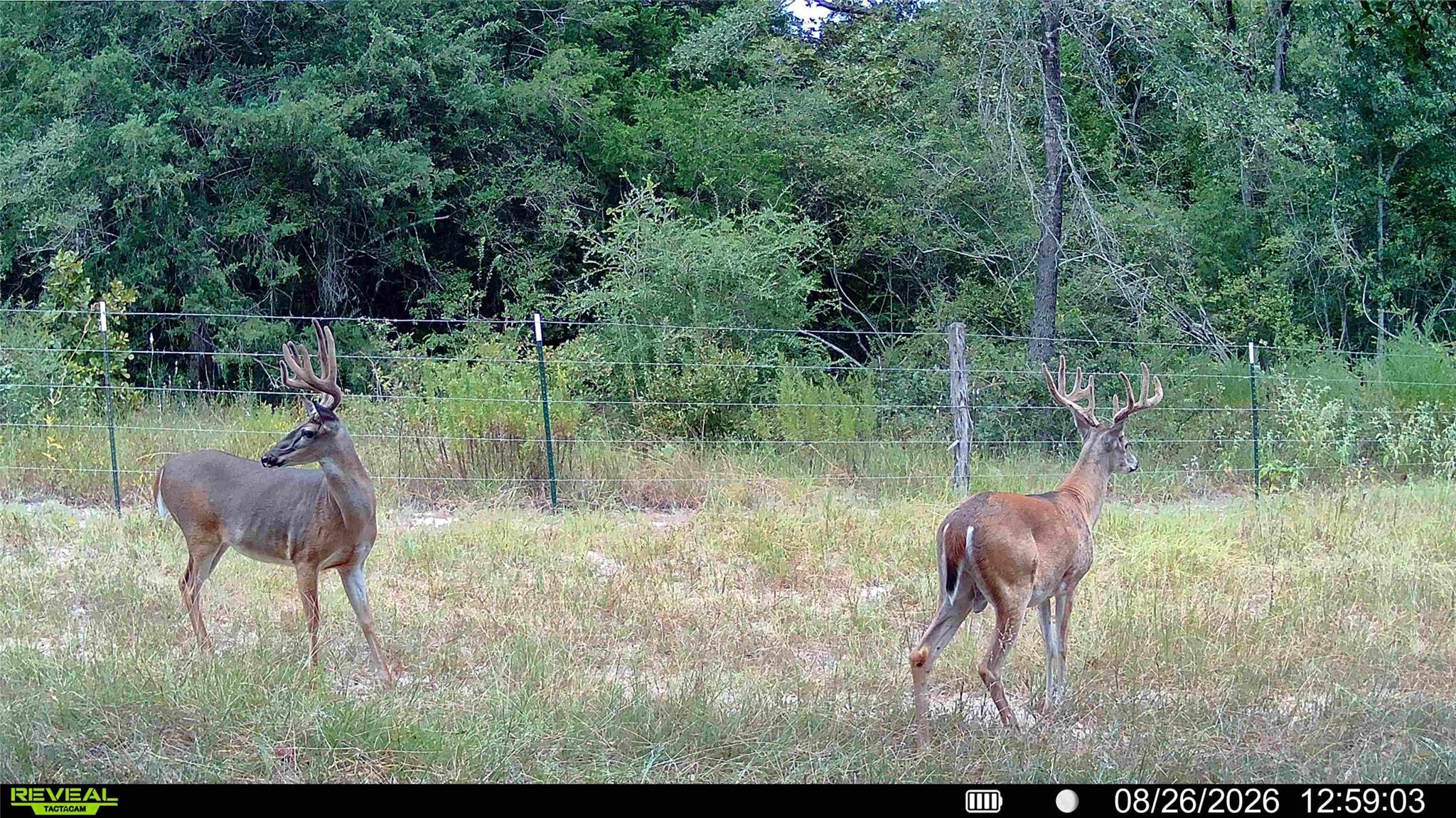 60.73 AC TBD Jackrabbit Lane