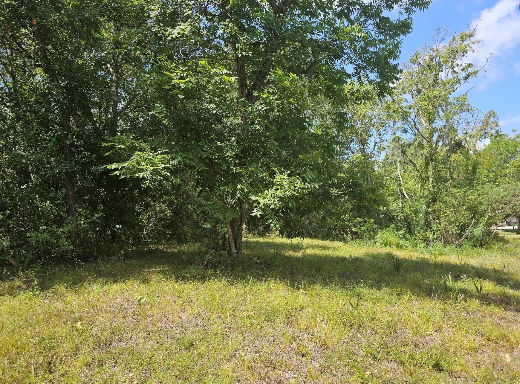 TBD 0 County Road 825