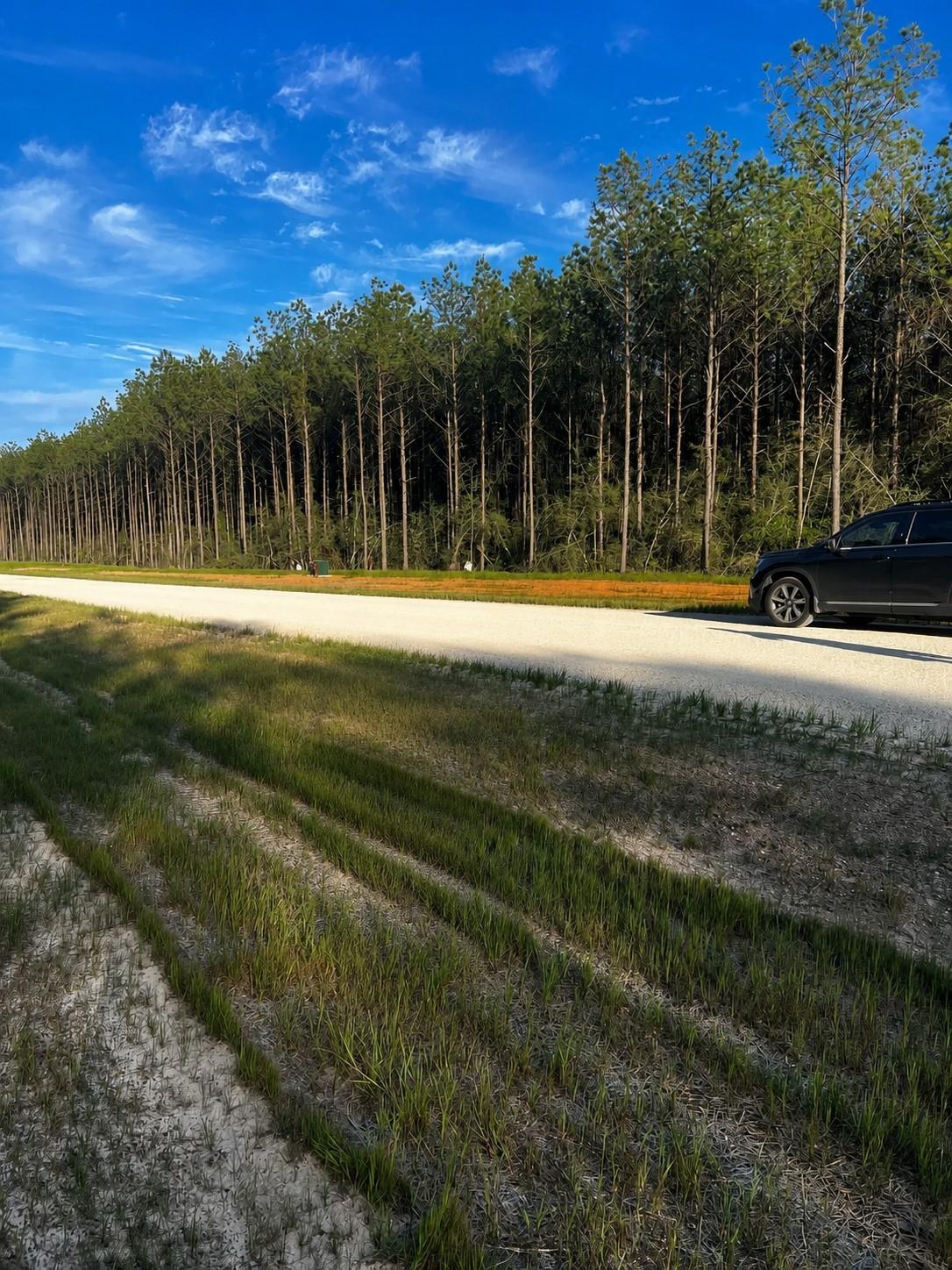 16076 Forest Mill Road