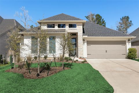 Photo of 508 Stella Beth Way, Montgomery, TX 77316 (MLS # 78306805)