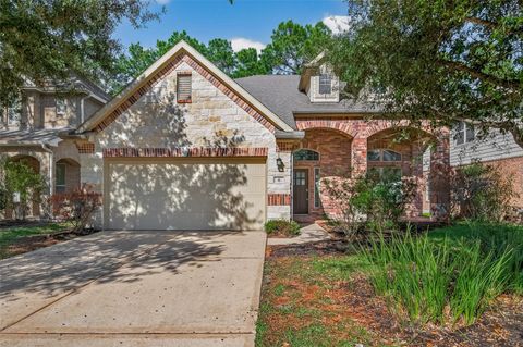 Photo of 6 Painted Post Pl Place, Spring, TX 77389 (MLS # 27485919)