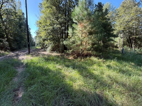 Vacant Land For Sale - TBD Cr 3385<br/> Houston County, Lovelady, TX 75851