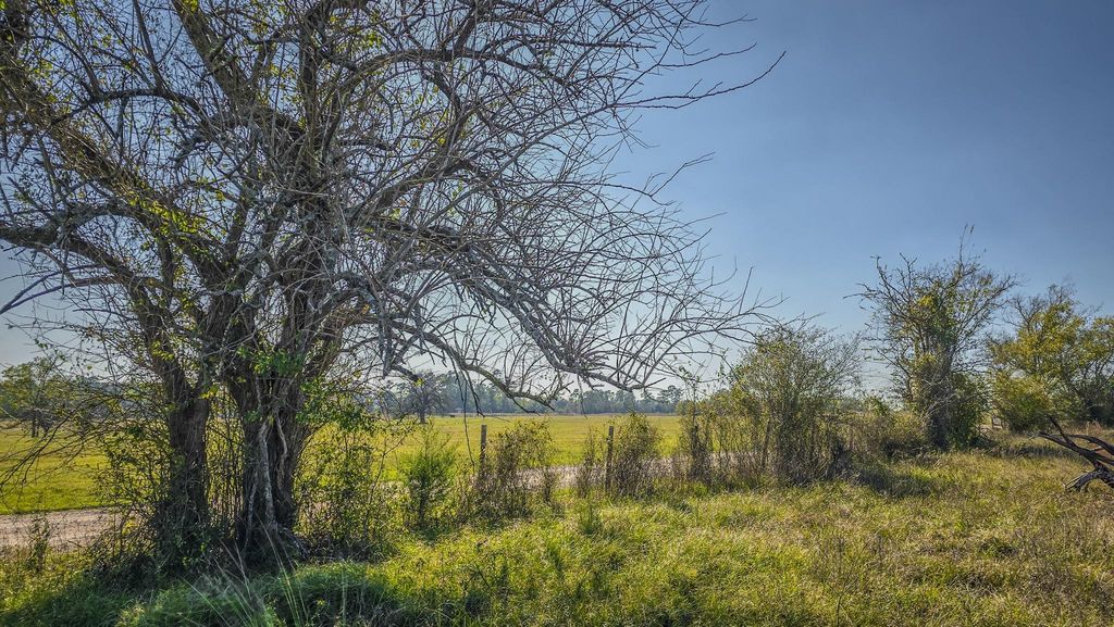 Photo of 2 Podraza Road, New Waverly, TX 77358 (MLS # 44551337)