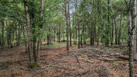 Tiny photo for 1507 County Road 3011, Dayton, TX 77535 (MLS # 71527548)