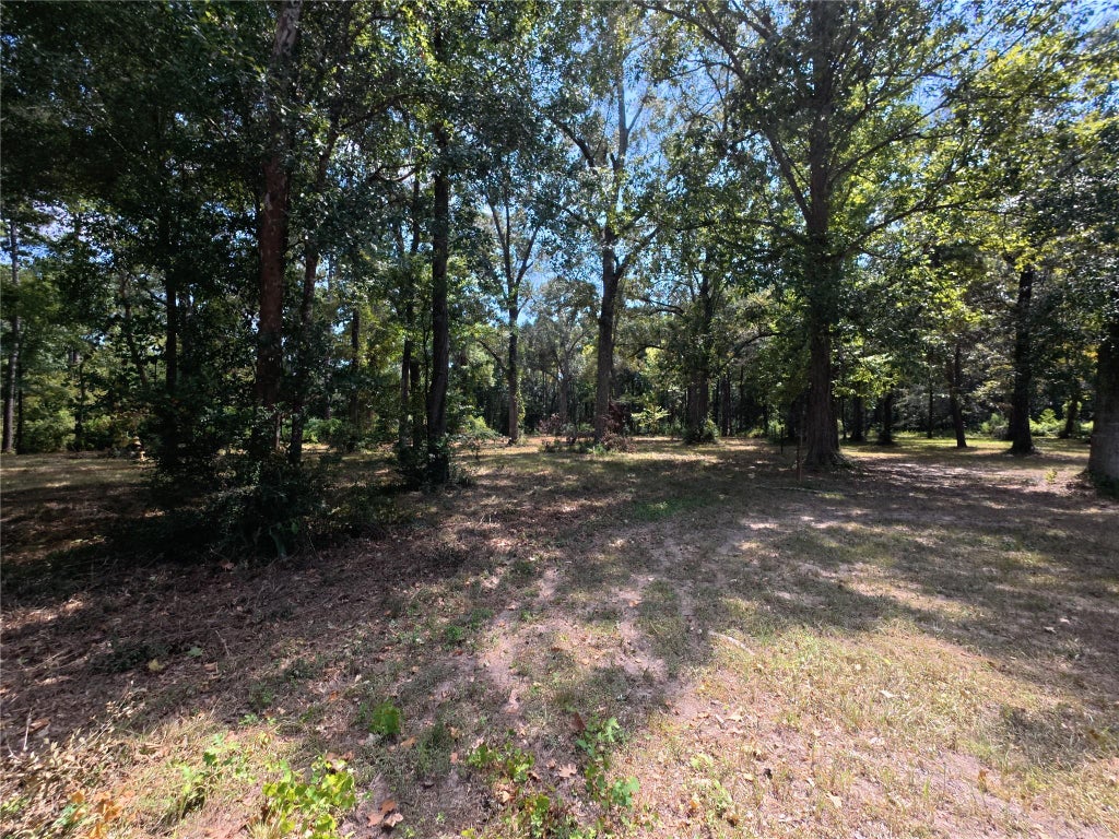 Photo of 5 River Terrace Rd RD, Huffman, TX 77336 (MLS # 71710824)