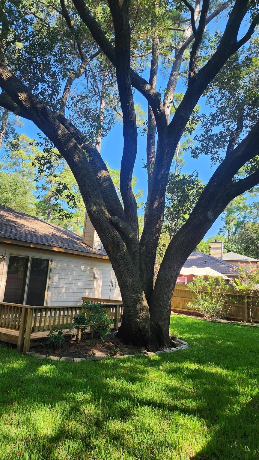 43 Dew Fall Court