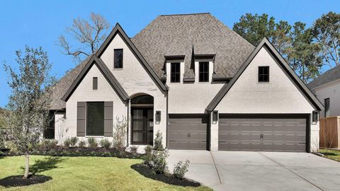 126 Pinehill Trails Court Willis TX 77318